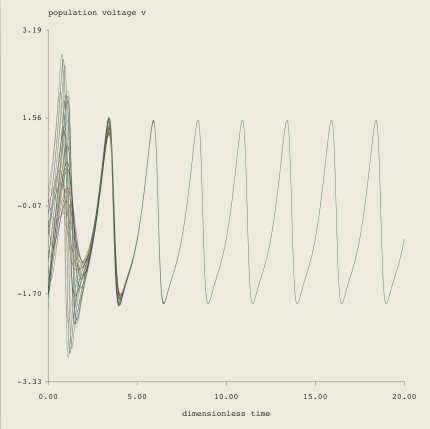 Neural Populations: Inhibitory coupling preset render