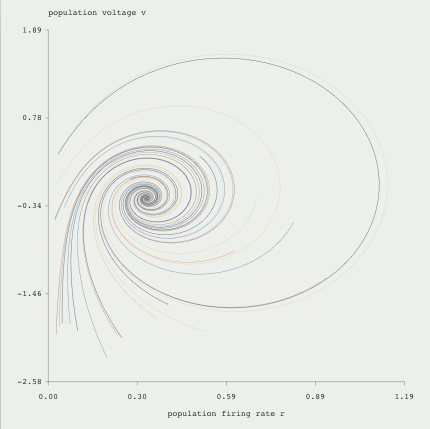Neural Populations: Damped relaxation preset render