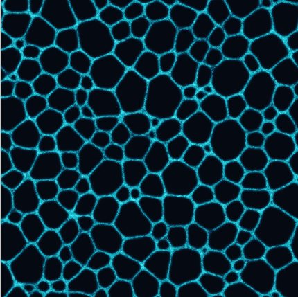 Sample render of Physarum, preset Veins